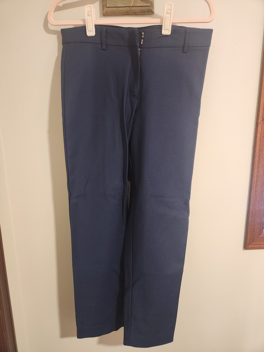 Women's Navy Dress Pants